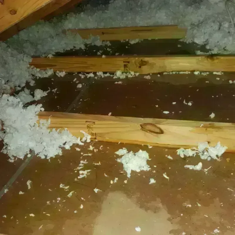 Attic Water Damage in Newark, AR