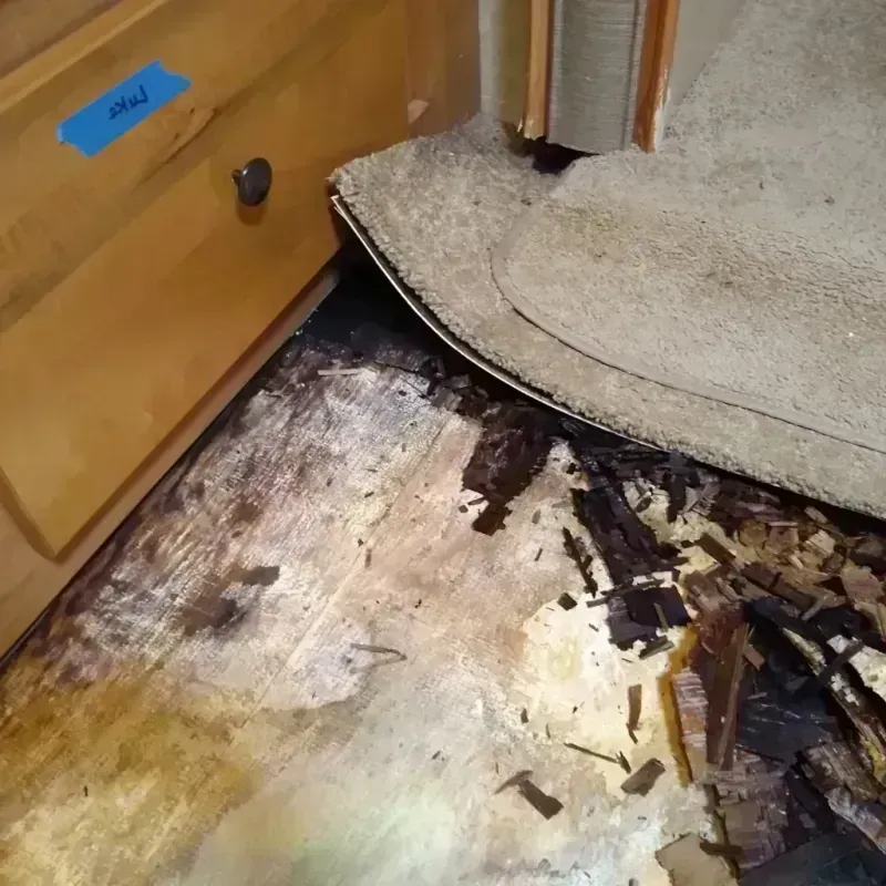 Wood Floor Water Damage in Newark, AR